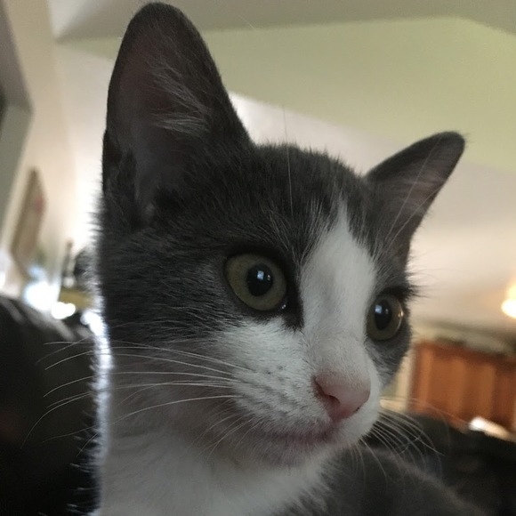 luluchamp3